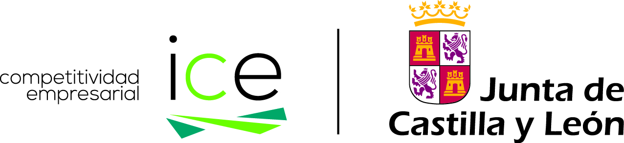 Institute for Business Competitiveness of Castilla y León